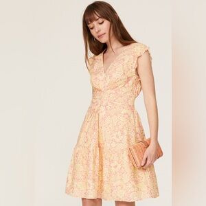 Derek Lam 10 Crosby Paisley Floral Flare Dress Pink‎ Yellow V-Neck Mini size 46